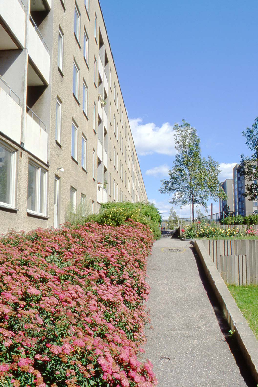 Nybohov, Nybohovsbacken