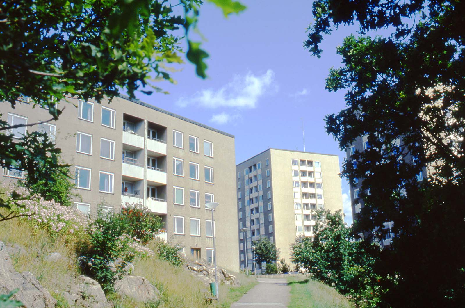 Nybohov, Nybohovsbacken 1981