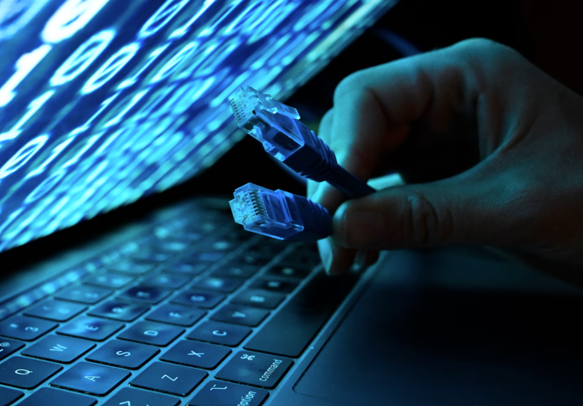 nätverkskablar framför laptop