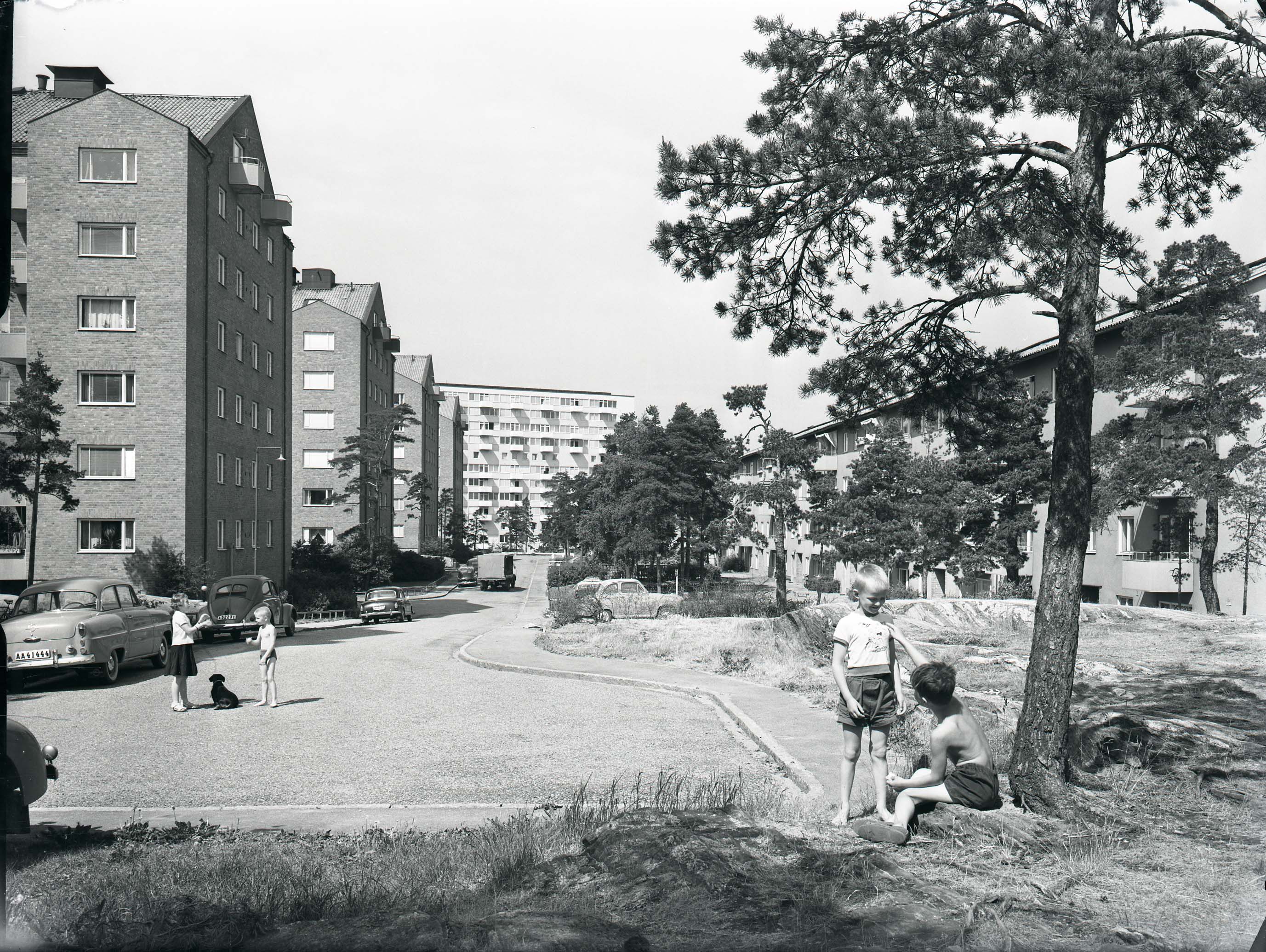 Björkhagen, Exteriör, 1959