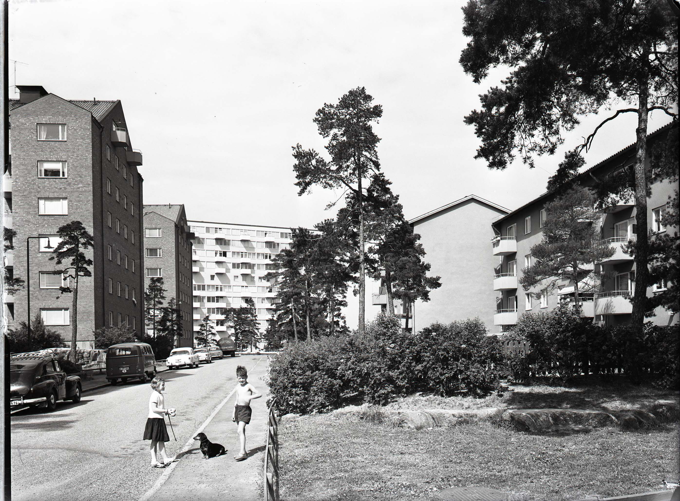 Björkhagen, Exteriör, 1959