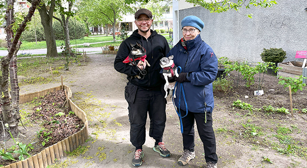 Två glada grannar med hundar