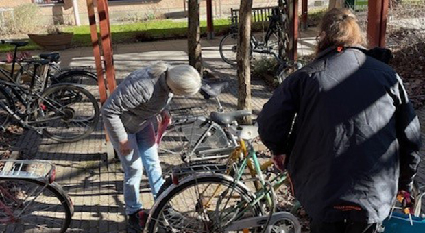 cyklar på gården