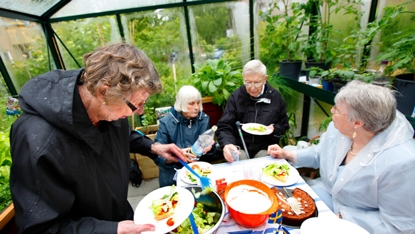 Fyra personer fikar i ett växthus i Kärrtorp.