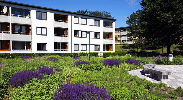 Perennparken i Skärholmen med hus i bakgrunden