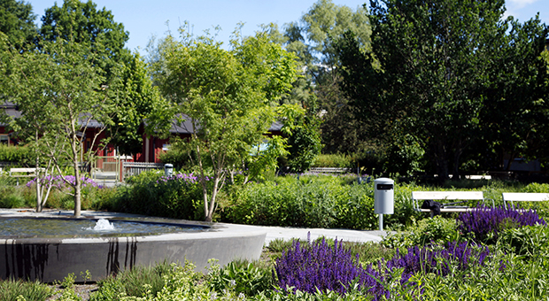 Utsikt över Perennparken i Skärholmen