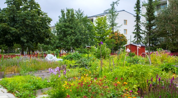 gårdsbild från kvarteret Silvret