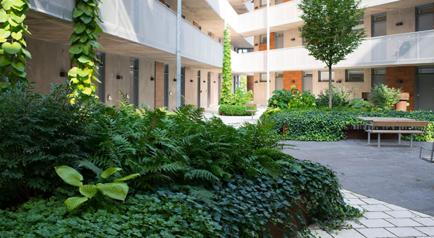 Vacker innergård i kvarteret Söderåsen i distrikt Innerstaden.