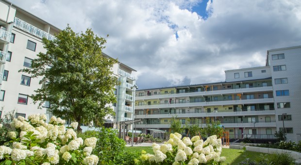 Ombyggda hus och gård på Trondheimsgatan i Husby