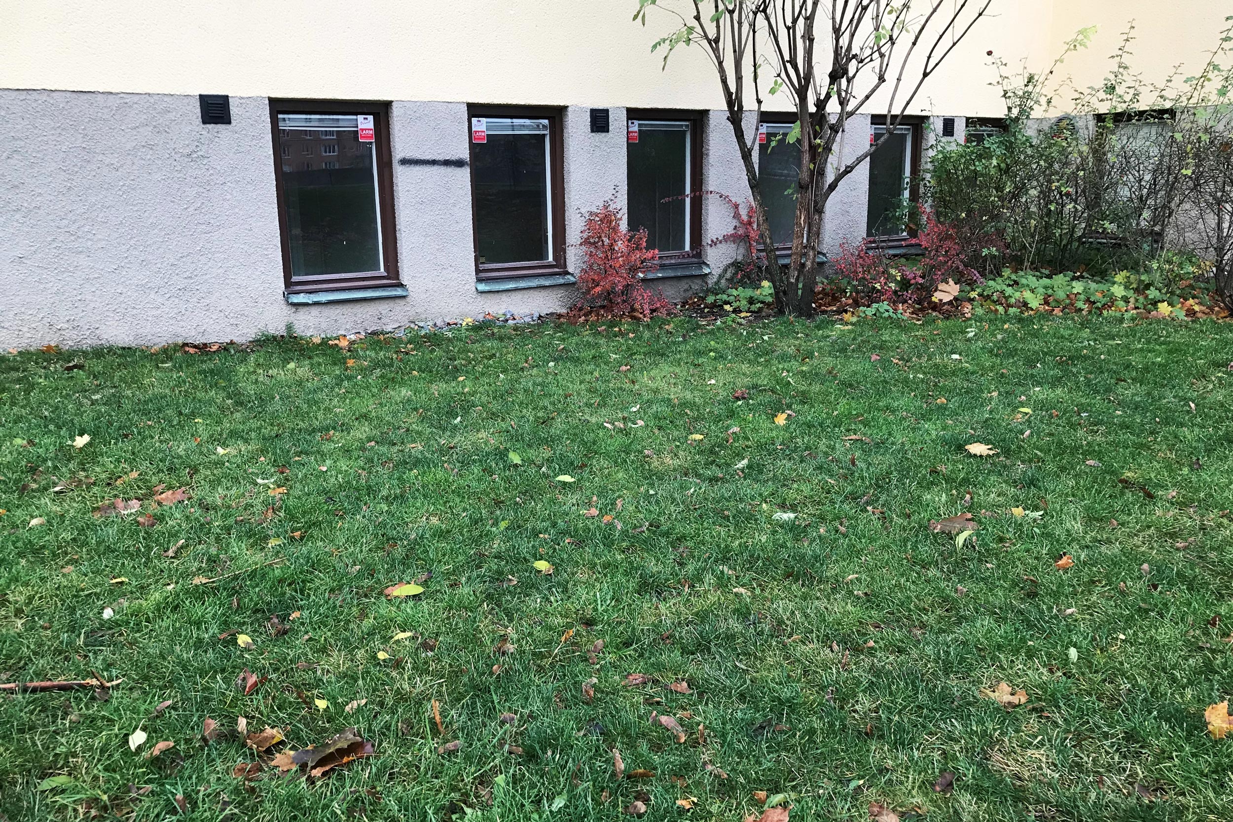 Bild på fönstren utifrån