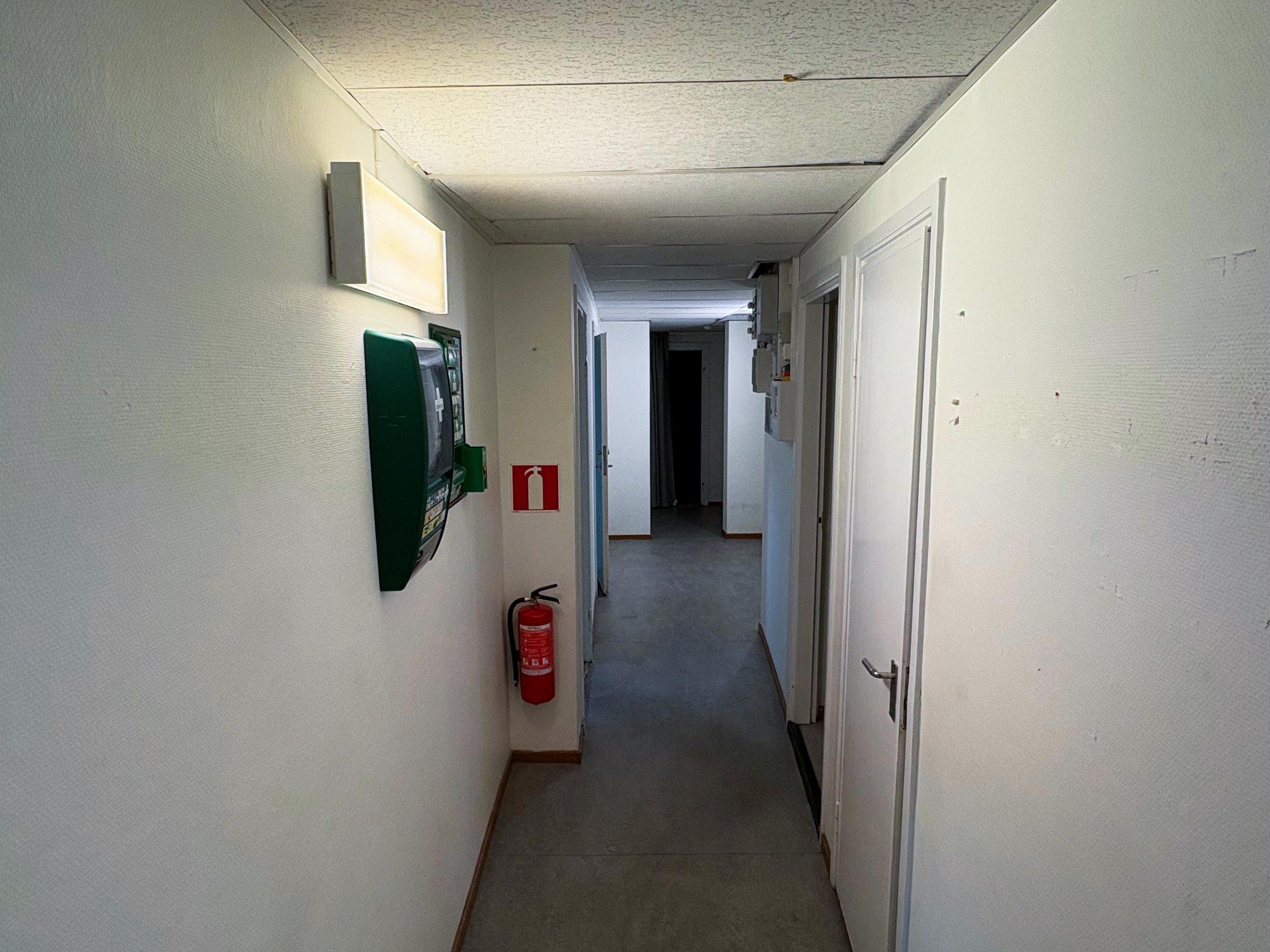 Hallyta