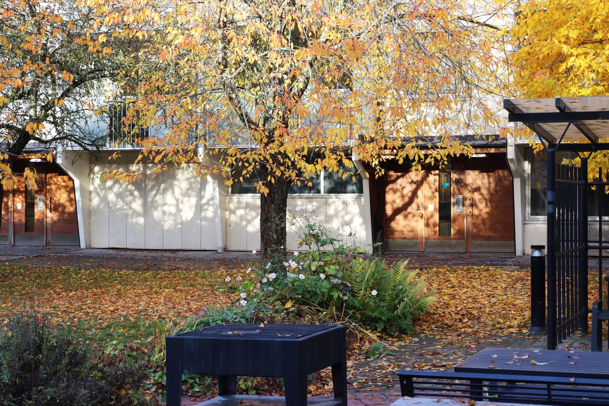 Bild på entré och grönområde mellan husen