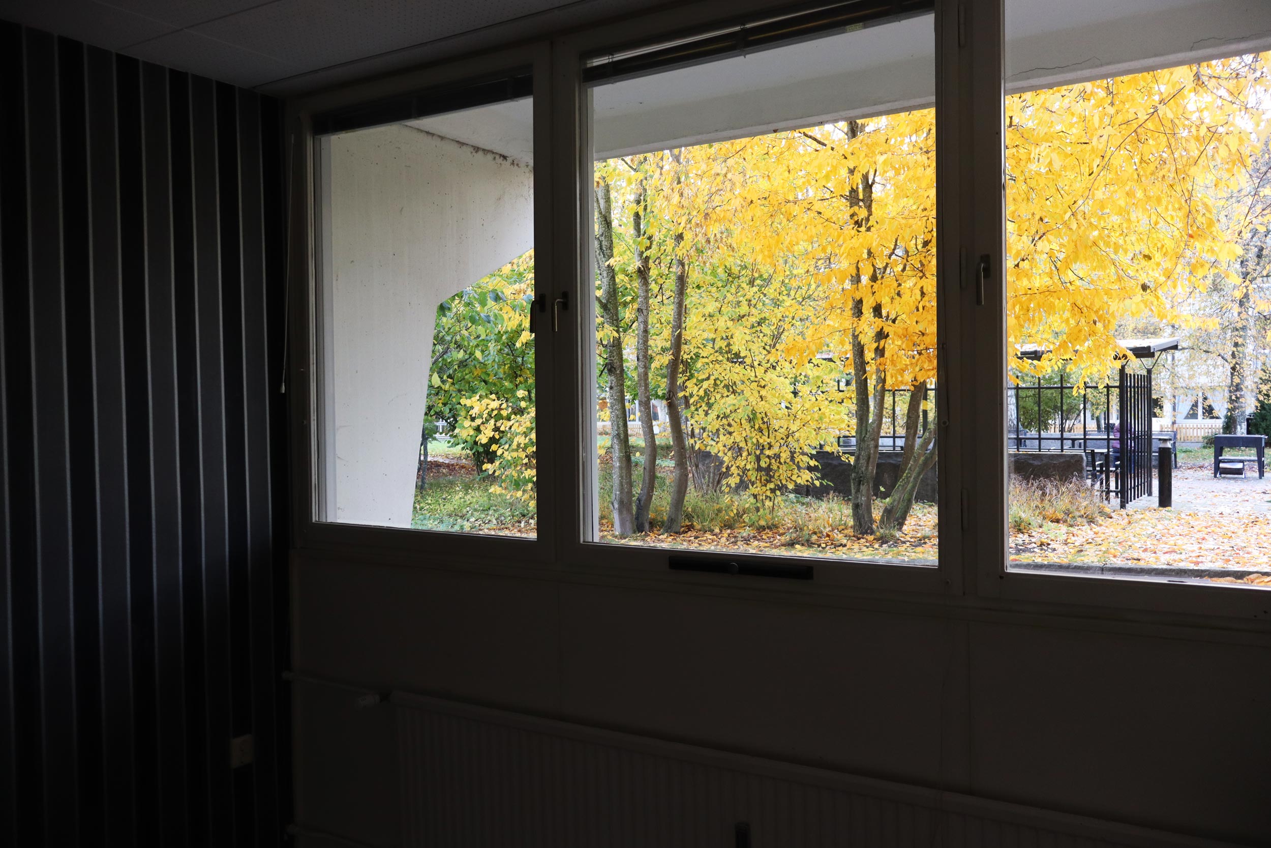 Utsikt från fönster