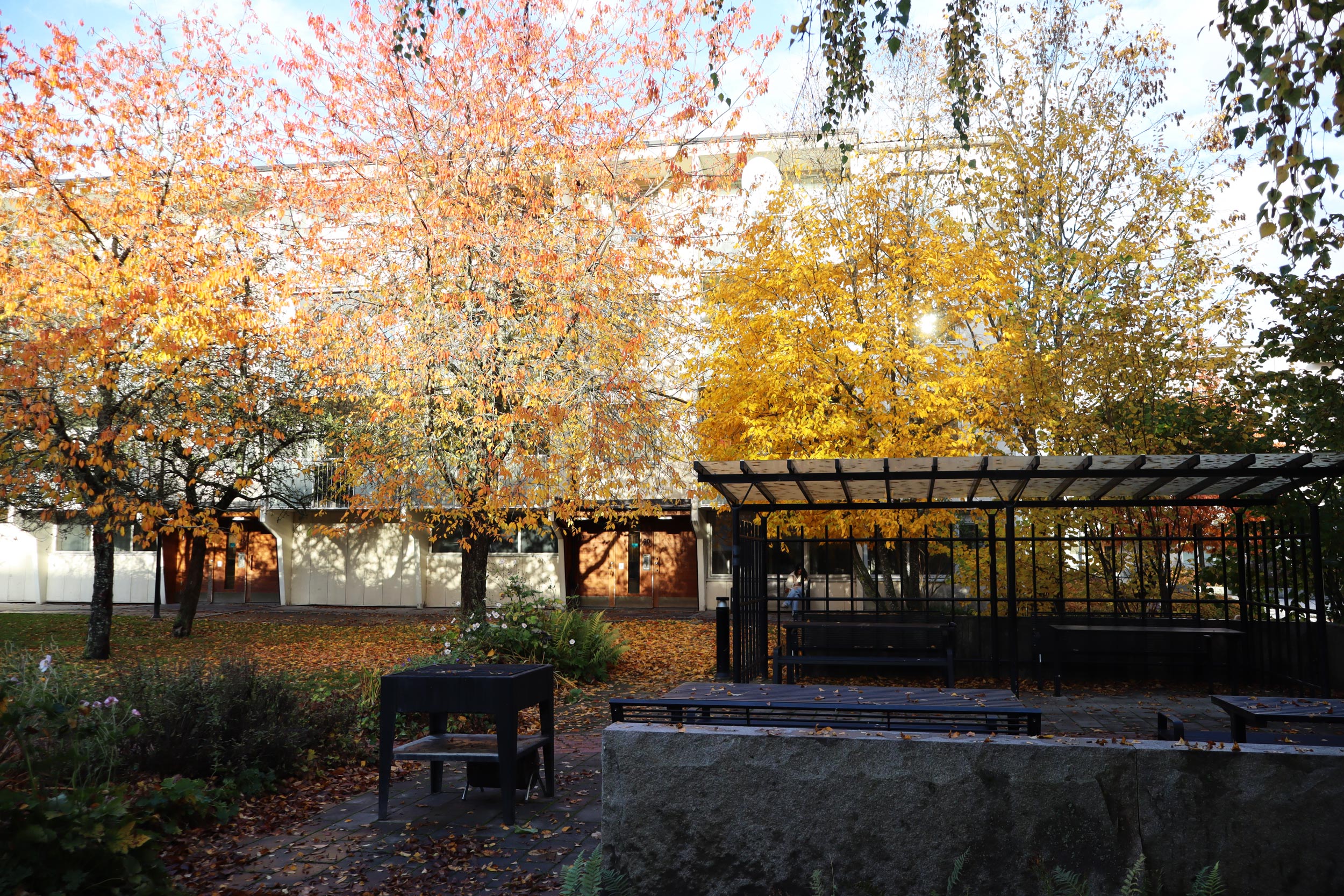 Bild på fastigheten