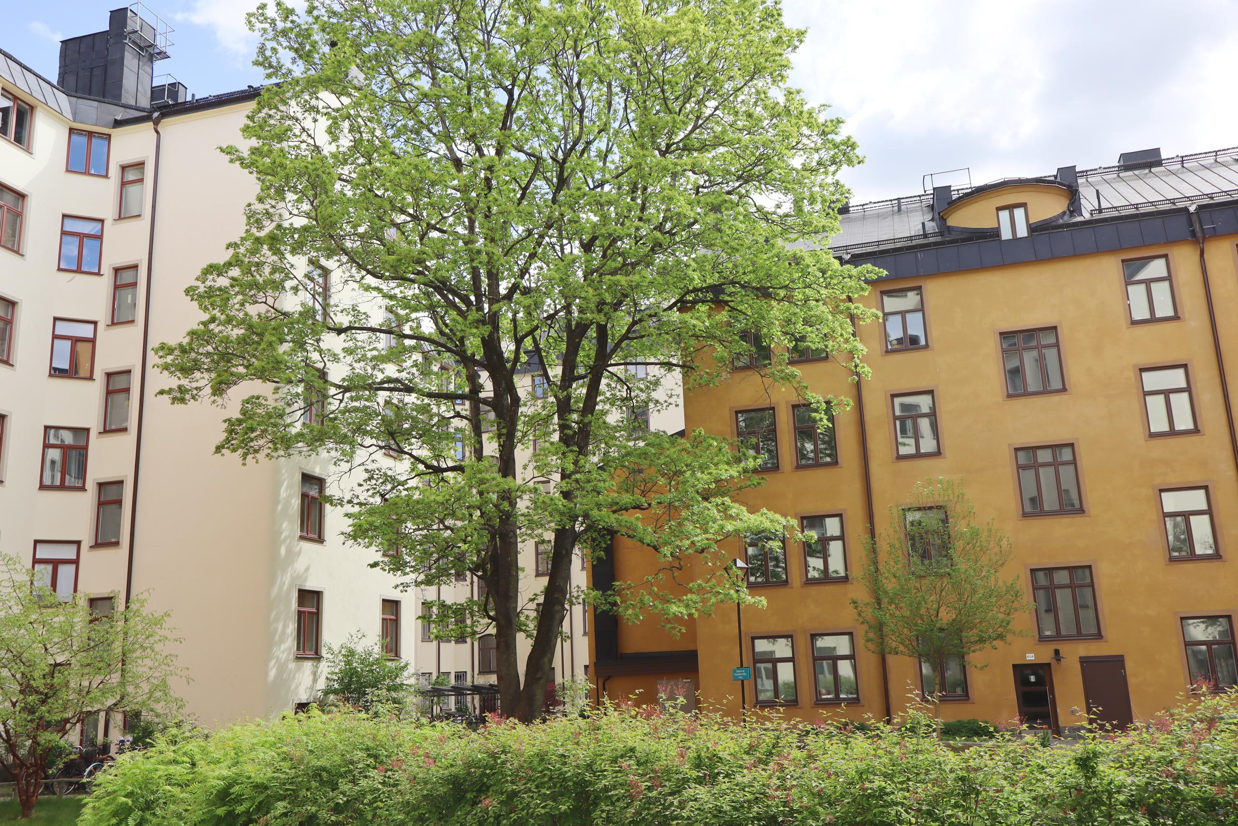 Interiör