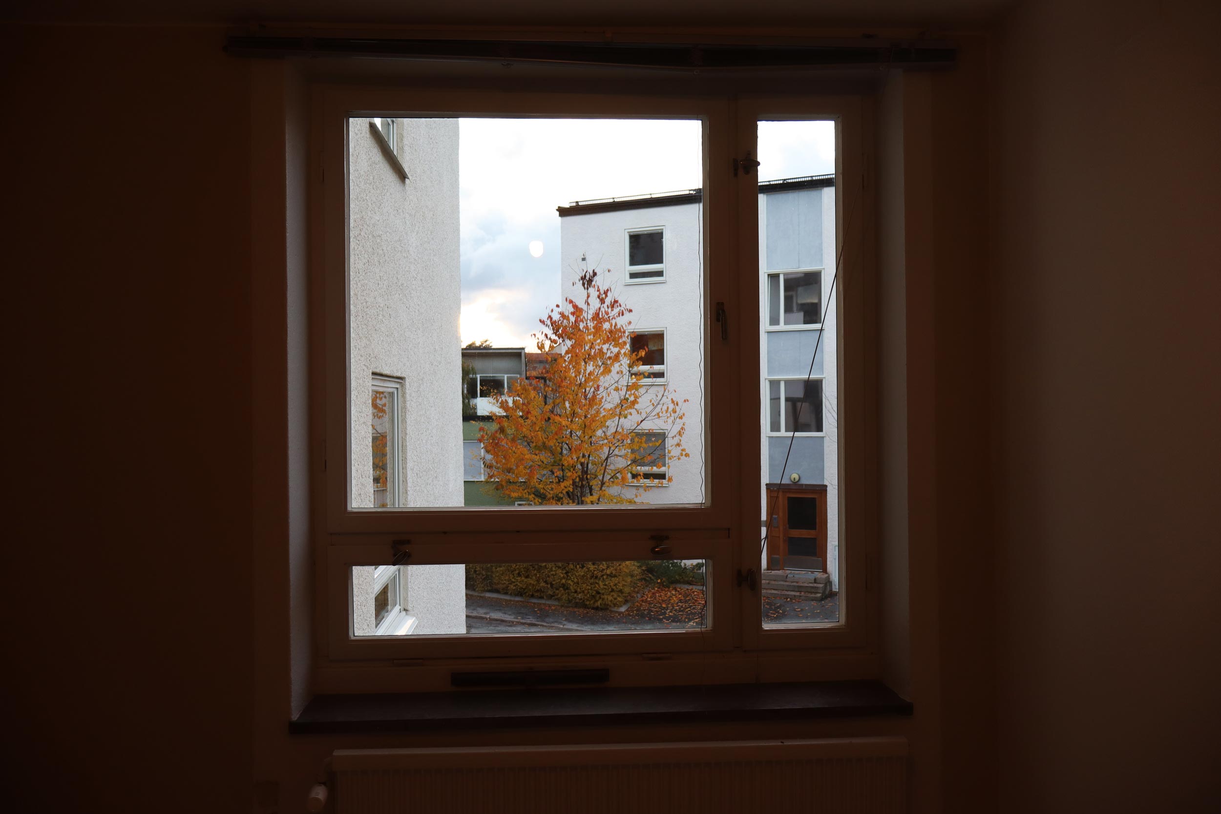 Vy från fönster utåt