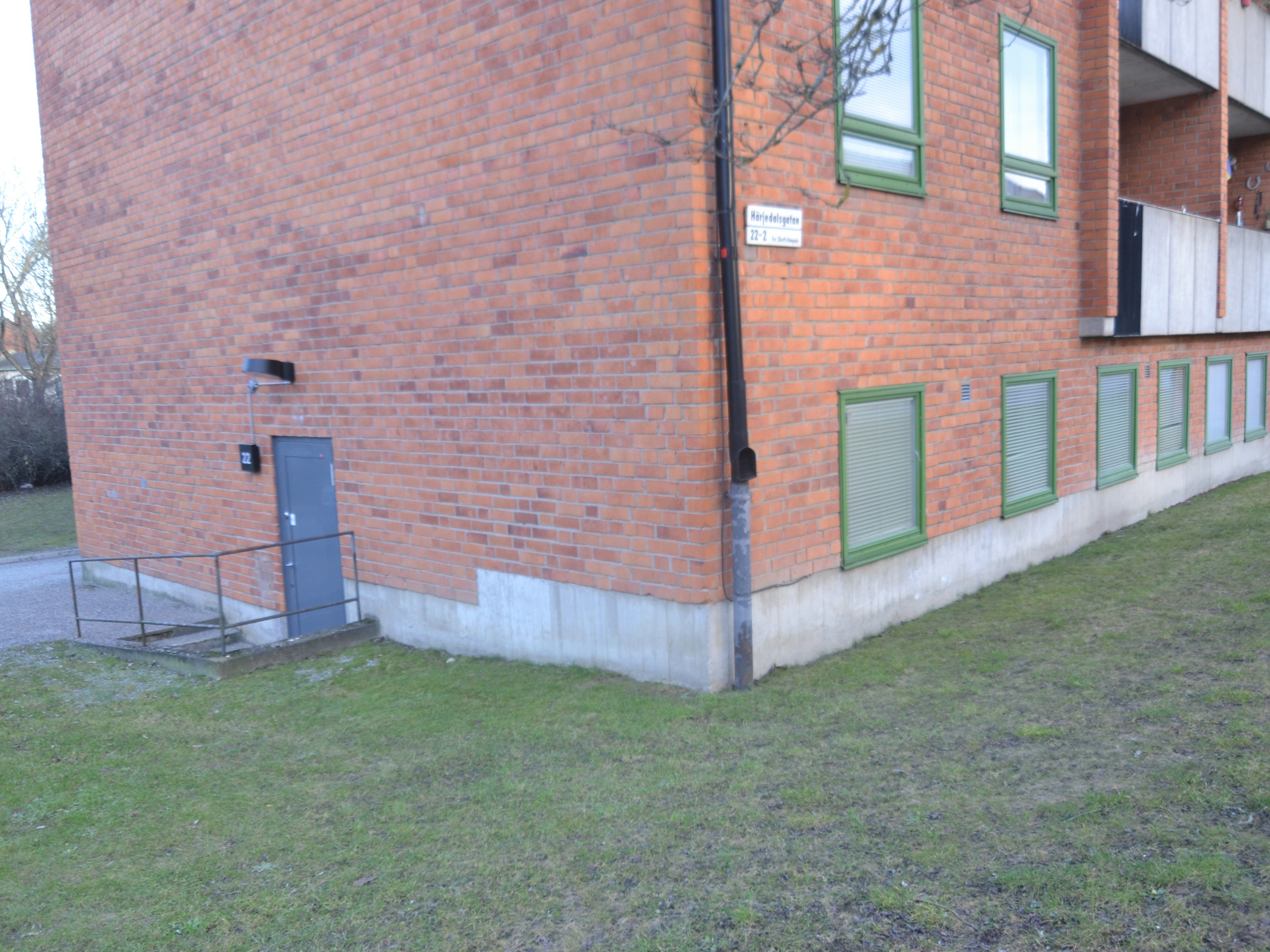 Exteriör