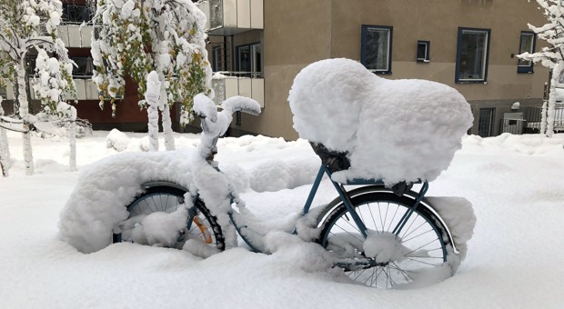 Cykel täckt av snö på innergård.