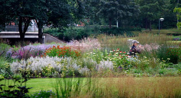 Växtlighet i Perennparken