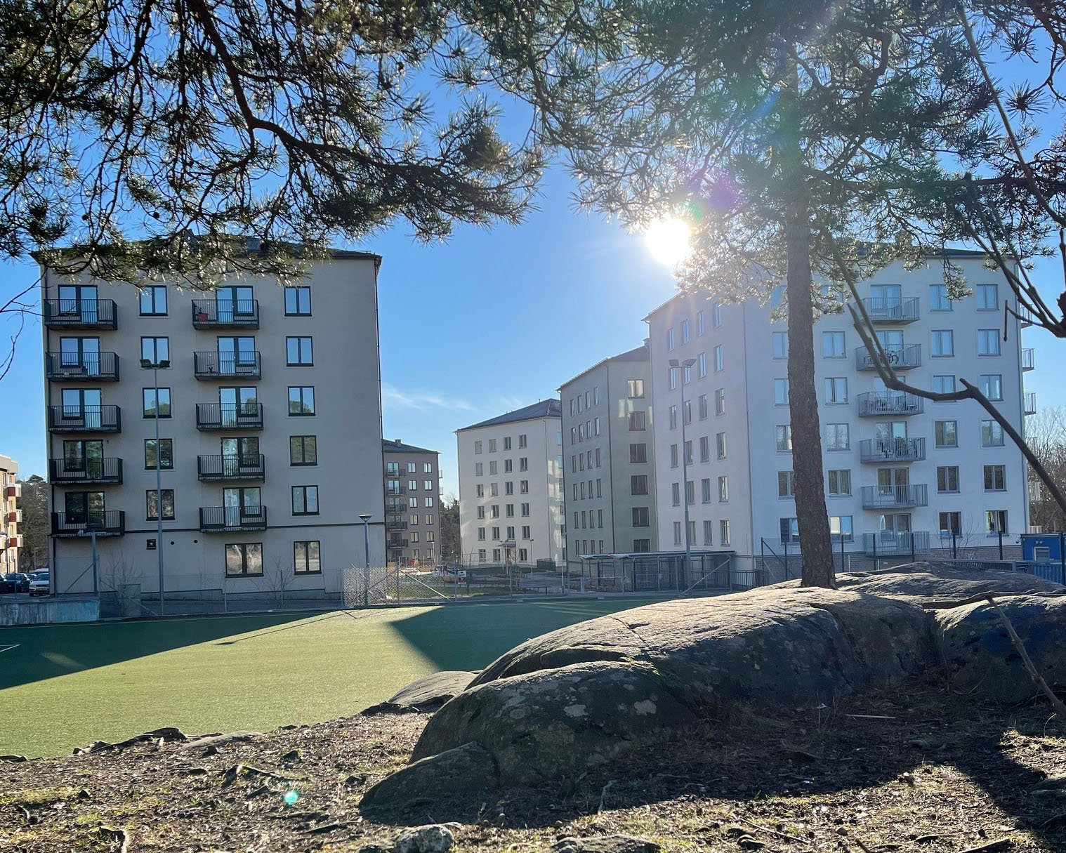 Två flerbostadshus syns i bakgrunden med en gräsyta, en trädgren och en strålande sol.