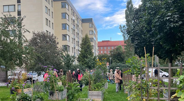 Gårdsträff på Barnängsgatan