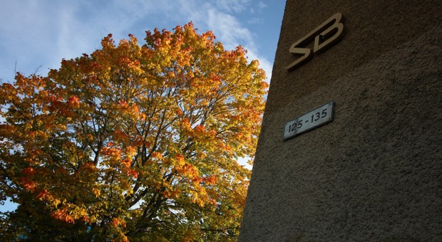 Träd i höstfärger intill husvägg med Svenska Bostäder logotyp.