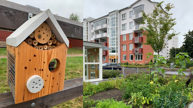 Collage insektshotell och utblick över odlingslott och husfasad