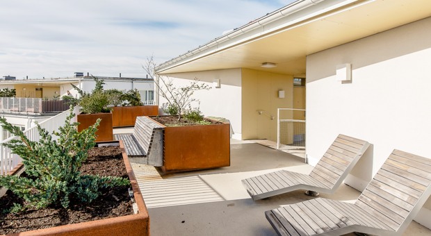 Takterrass på campus Albano